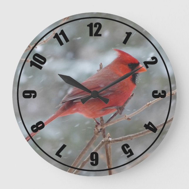 Grande Horloge Ronde Red cardinal en hiver (Recto)