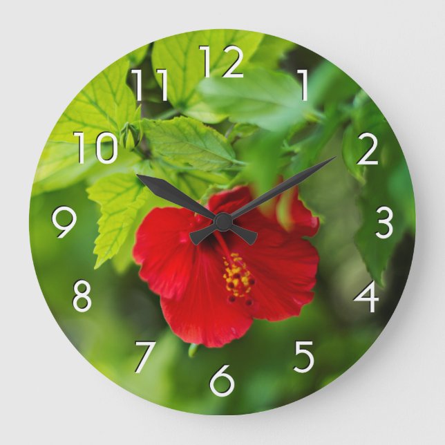 Grande Horloge Ronde Red Hibiscus Hawaii Tropical (Recto)