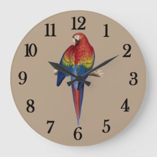 Grande Horloge Ronde Red parrot