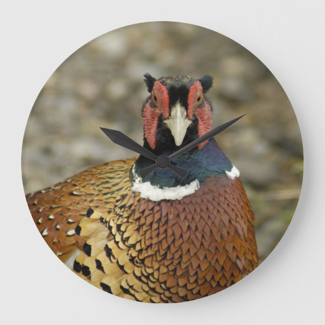 Grande Horloge Ronde Ring Pheasant (Recto)