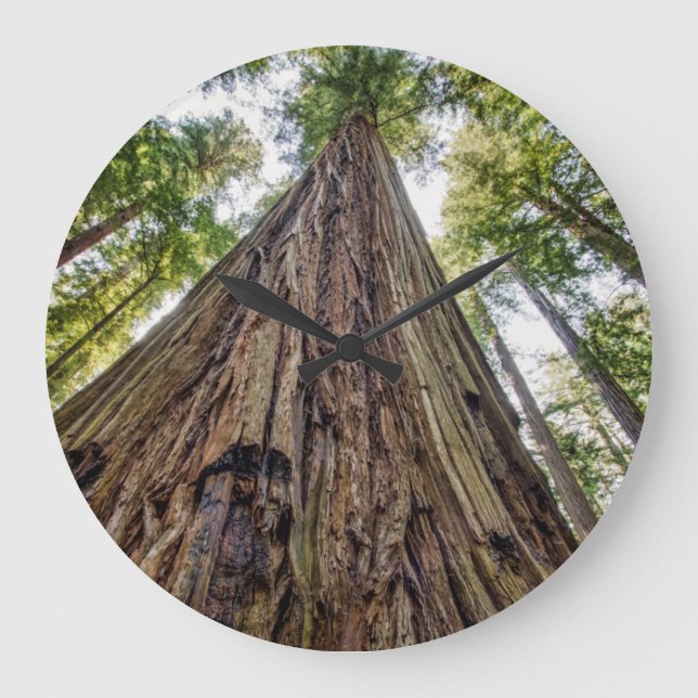 Grande Horloge Ronde Roosevelt Grove (Recto)