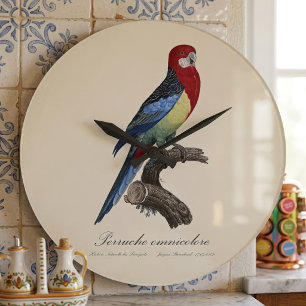Grande Horloge Ronde Rosella orientale ou Perruche à tête pâle Platycer