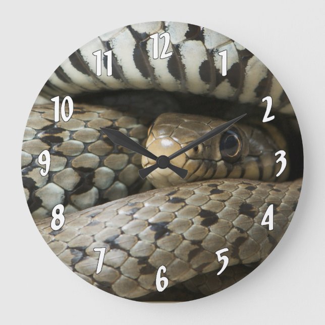 Grande Horloge Ronde Serpent (Recto)