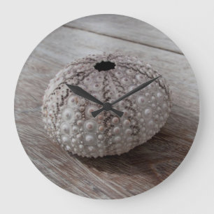Grande Horloge Ronde Shell sur un Tableau en bois