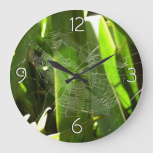 Grande Horloge Ronde Spiderweb dans Tropical Leaves Nature