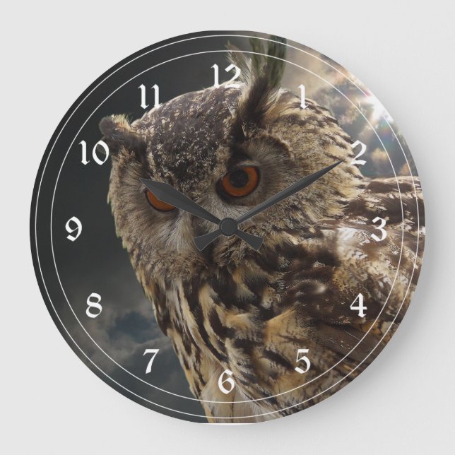 Grande Horloge Ronde Stunning Owl (Recto)