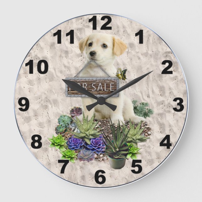 Grande Horloge Ronde Succulents à vendre (Recto)