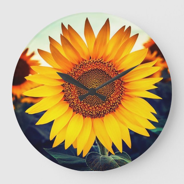 Grande Horloge Ronde Sunflower Acrylic Wall Clock (Recto)