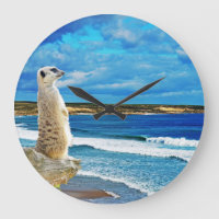 Suricate à la plage,