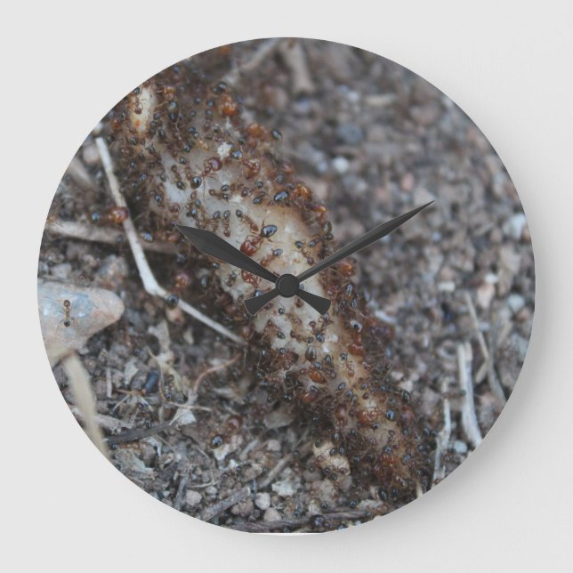 Grande Horloge Ronde Swarm of Ant Photo Printed (Recto)