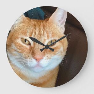 Grande Horloge Ronde Tabby