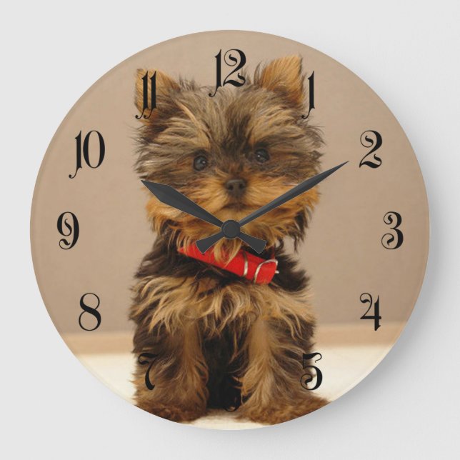 Grande Horloge Ronde Terrier Puppy du Yorkshire (Recto)