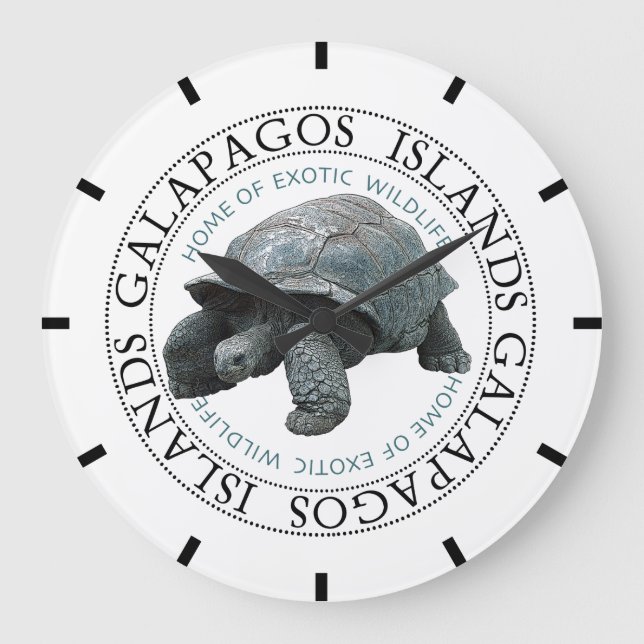 Grande Horloge Ronde Tortue des îles Galapagos (Recto)