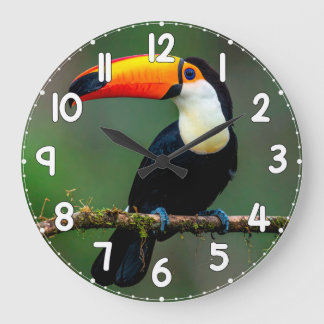 Grande Horloge Ronde Toucan Wall Clock – Tropical Bird Wildlife Nature 