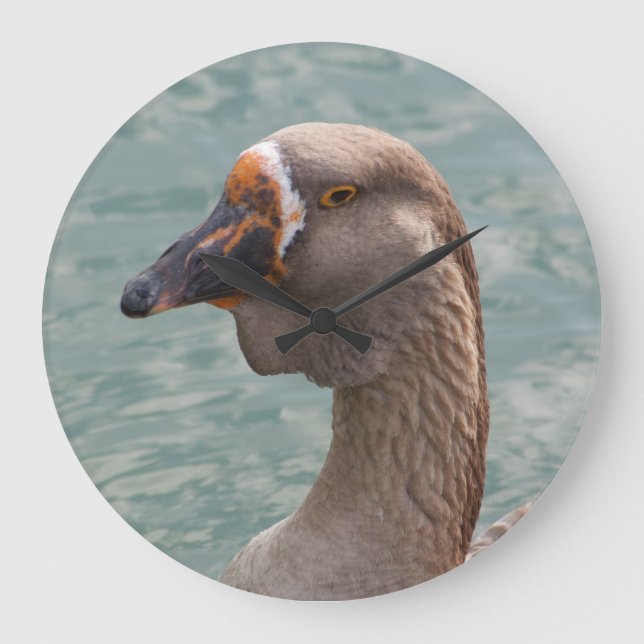 Grande Horloge Ronde Toulouse Goose (Recto)