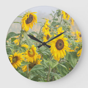 Grande Horloge Ronde Tournesol Vert jaune Belle flore