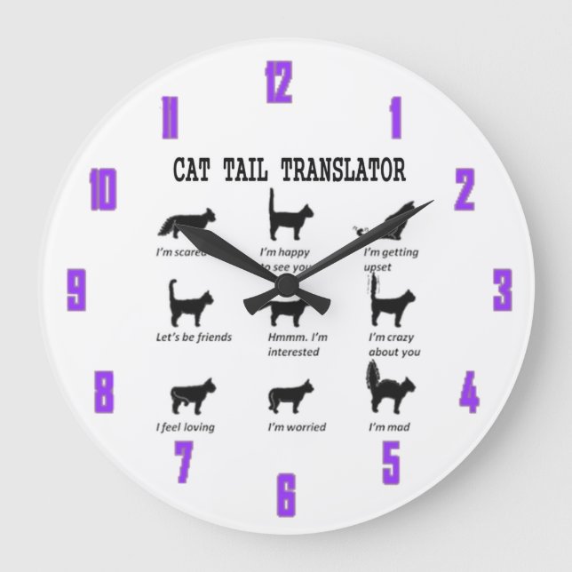 GRANDE HORLOGE RONDE TRADUCTEUR DE QUEUE DE CAT (Recto)