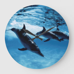 Grande Horloge Ronde Trio des dauphins