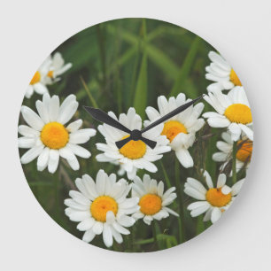 Grande Horloge Ronde USA, Washington, Seattle, Puget Sound 3