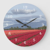 Vallée de Skagit Tulipes de l'État de Washington H