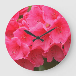 Grande Horloge Ronde Washington, Seattle, Puget Sound, Discovery Park