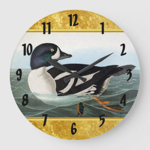Grande Horloge Ronde White and Black mallard ducks swimming in water
