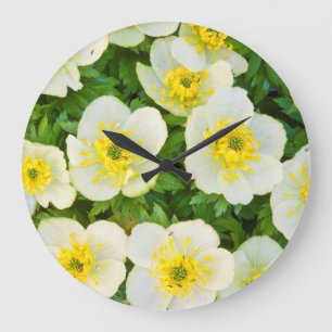Grande Horloge Ronde Wyoming, comté de Sublette, Gros plan d'un groupe