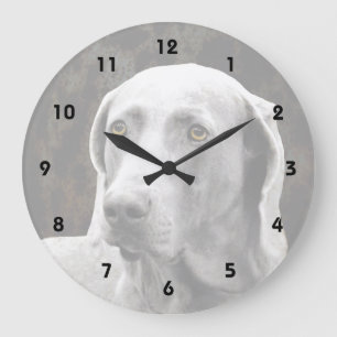 Grande Horloge Ronde Yeux émouvants du Weimaraner