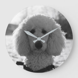 Grande Horloge Ronde Yeux noirs et blancs de chiot de visage de caniche