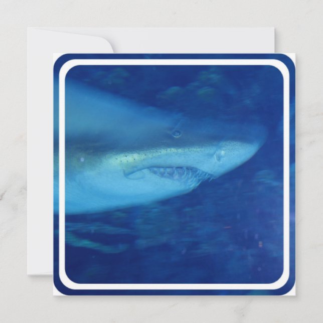 Grande invitation au requin blanc (Devant)