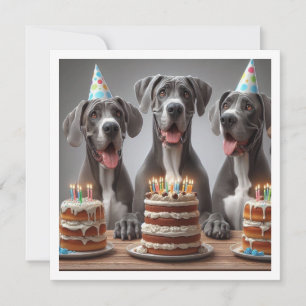 Grande invitation Dane anniversaire, Fête de chien