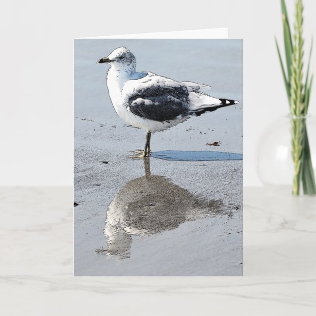 Grande mouette de bébé - carte de voeux vierge (Devant)