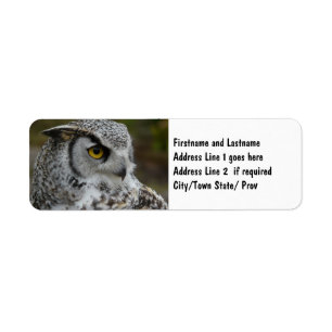Grande photographie de hibou à cornes