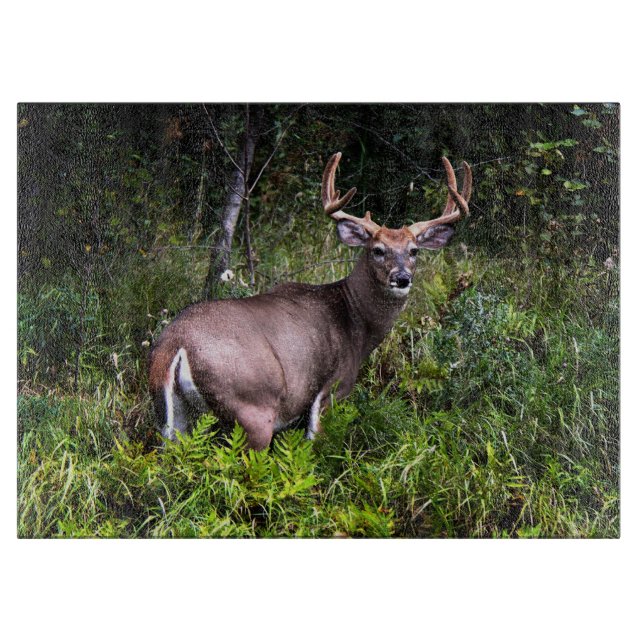 Grande planche à découper Buck Deer (Devant)