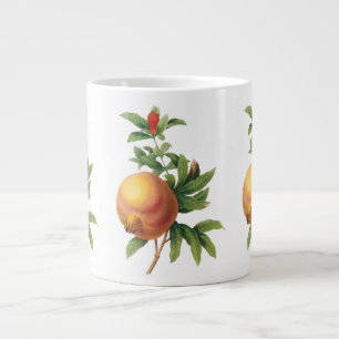 Grande Tasse Aliments anciens Fruit, Grenade par Redoute