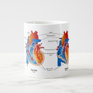Grande Tasse Anatomie du coeur