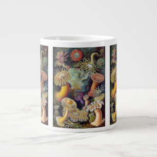 Grande Tasse Anémones sous-marines vintages par Ernst Haeckel