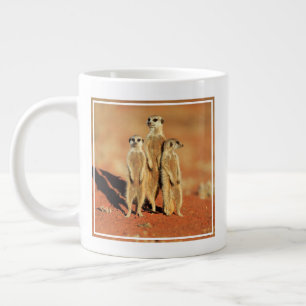 Grande Tasse Animaux de bébés cutest   3 Meerkats