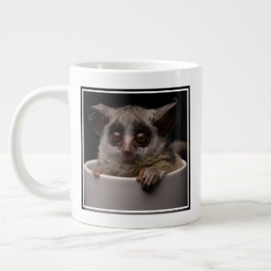 Grande Tasse Animaux de bébés cutest   Bébé mignon