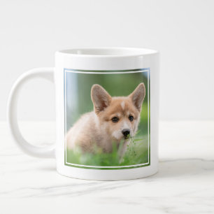 Grande Tasse Animaux de bébés cutest   Corgi Puppy dans le tria
