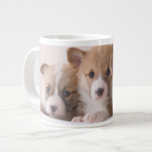 Grande Tasse Animaux de bébés cutest   Cute Corgi Chipies dans 