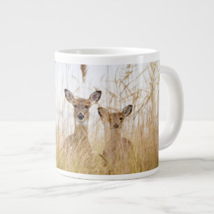 Grande Tasse Animaux de bébés cutest   Deux jeunes cerfs à queu