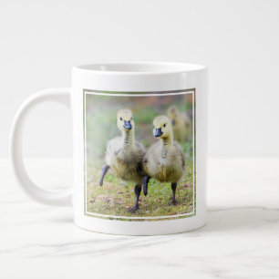 Grande Tasse Animaux de bébés cutest Goélands d'oies canadien