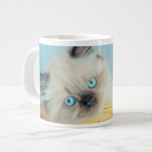 Grande Tasse Animaux de bébés cutest   Himalaya Seal Point Cat