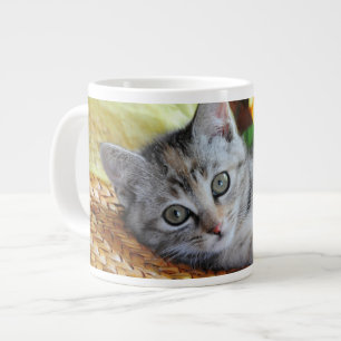 Grande Tasse Animaux de bébés cutest Lounge Kitten