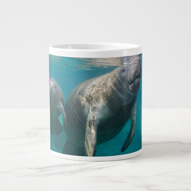 Grande Tasse Animaux de bébés cutest | Manat & bébé (Devant)