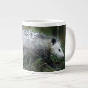 Grande Tasse Animaux de bébés cutest Opossum Maman & Kids