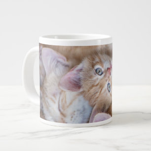 Grande Tasse Animaux de bébés cutest   Orange Kitten Pile