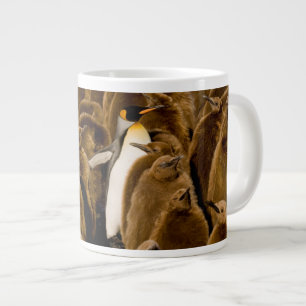 Grande Tasse Animaux de bébés cutest   Pingouin parmi les jeune