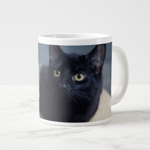 Grande Tasse Animaux de bébés cutest   Portrait d'un chat noir